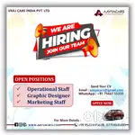 Need Candidate for Office Work