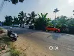 14 Cent  Aluva,Karumalloor bus route frontage Plot.Aluva,Paravur route