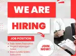 Sales Executive For Real Estates