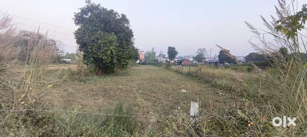 (MAJRA)LAND FOR SALE IN MAJRA 3.25 lakh per biswa TOTAL 15 BISWA