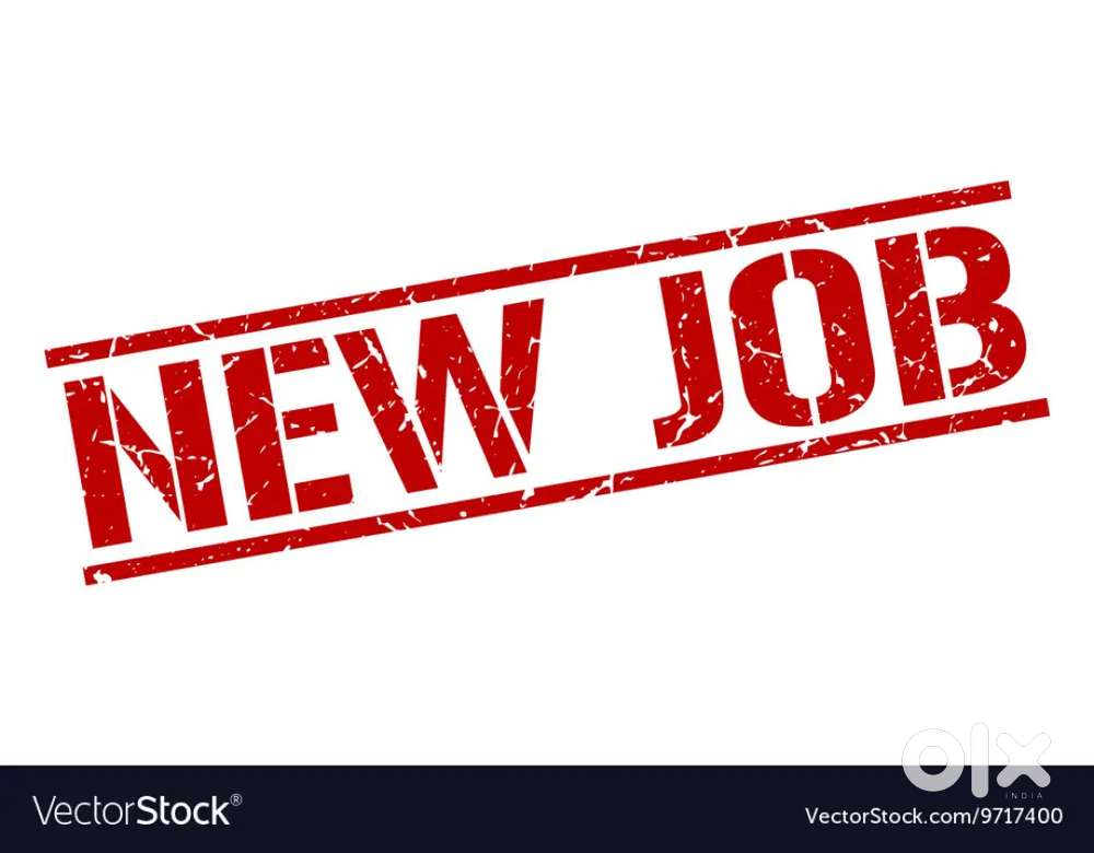 10th and 12th pass candidate apply now Bank Job