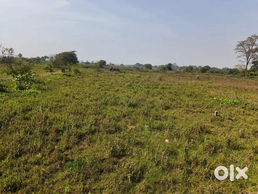 Plat for sale (Upcoming society)