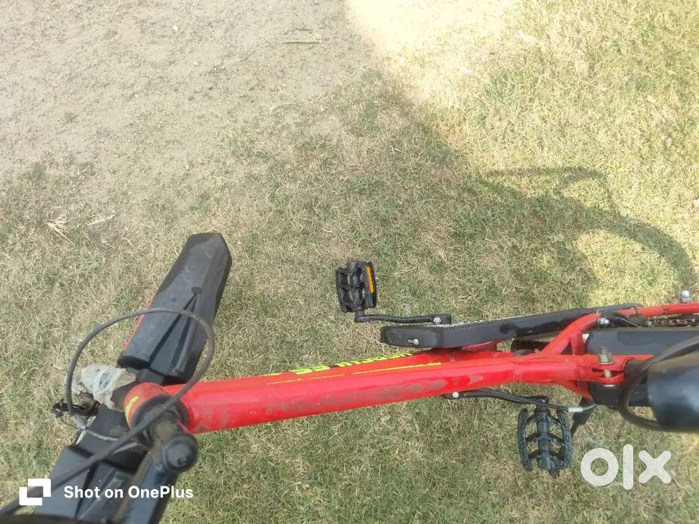 New cycle only 1.5 years old for 7-12 years old