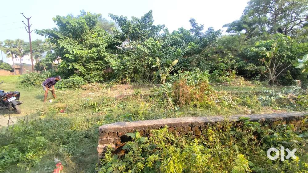 10 dhur Jamin Mahadeva Siwan Town