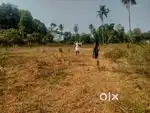 70 cent house plot for sale