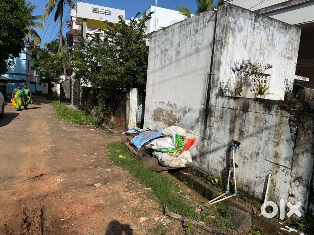 Pallivasal North Soorankdi 11 Cents House Land