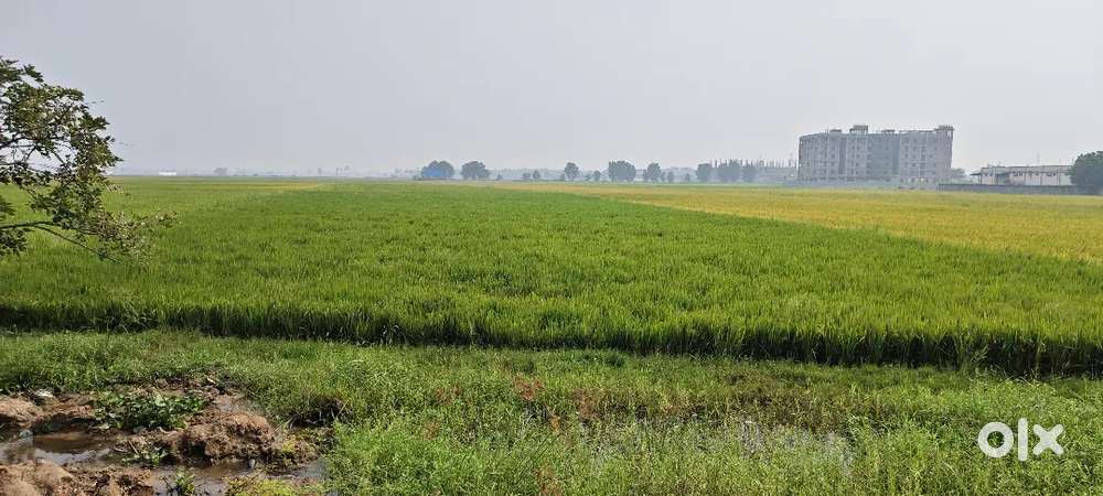 మంగళగిరి తెనాలి రోడ్లో కొత్తగా వస్తున్న గోల్డ్ హబ్ అతి సమీపంలో