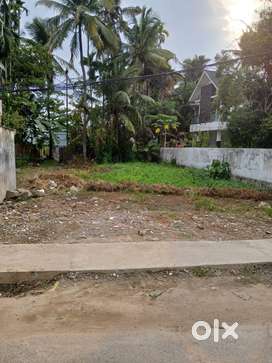 Land for sale in bolghatty, kochi