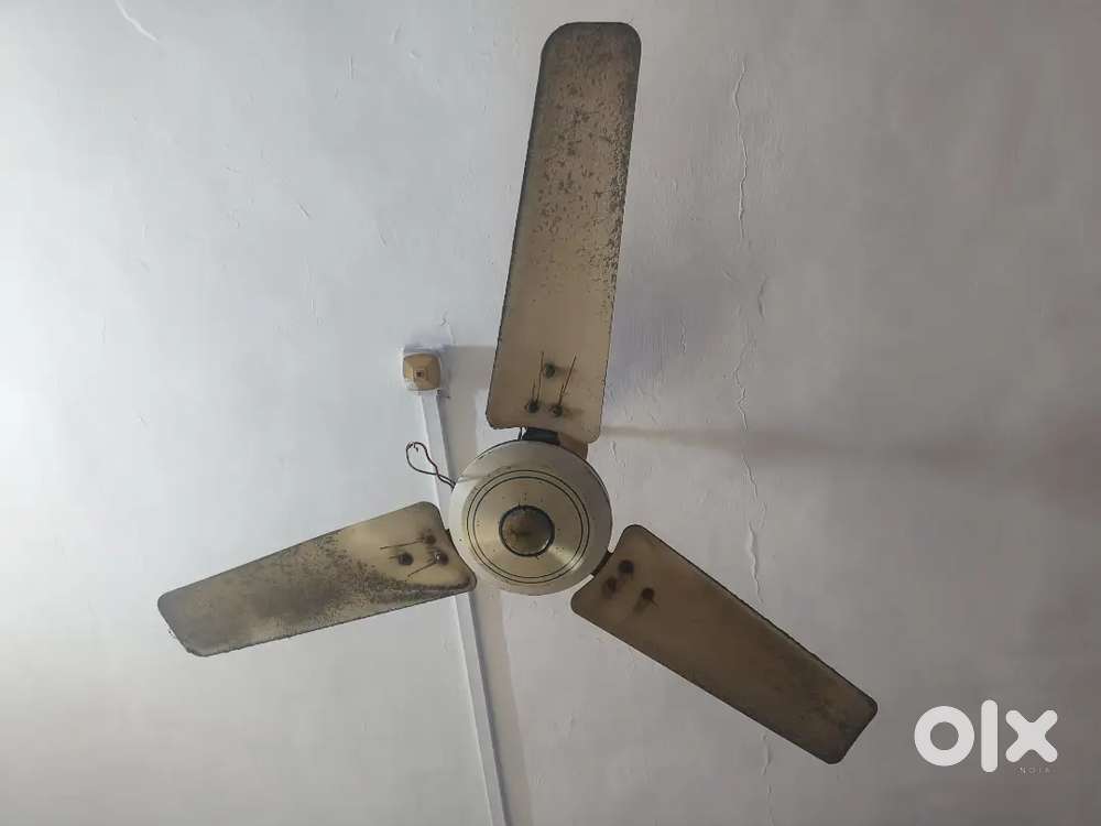Ceiling fan