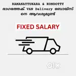VAN DELIVERY JOB