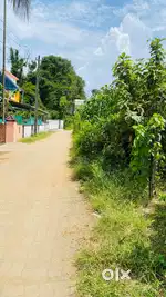 House plot at Kallingal Palakkad