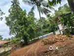 10 to 30 cent plot for house/office or godown.