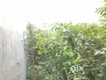 Plot for rent 200 gaj