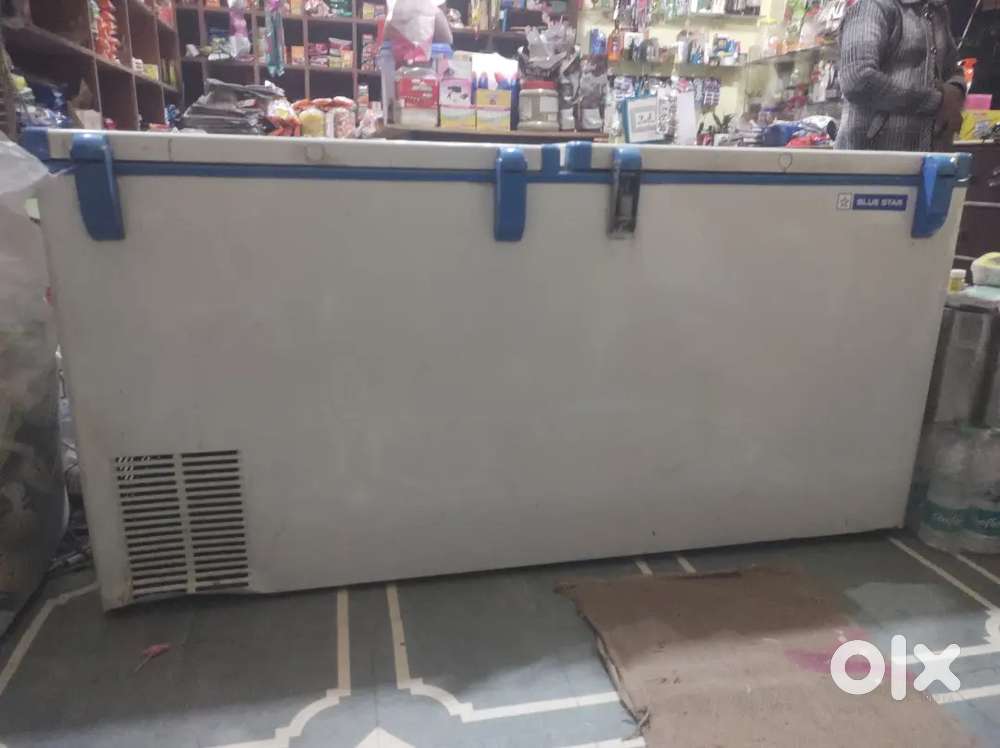 Blue star deep freezer