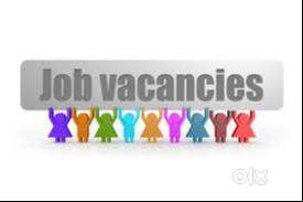 FRESHER JOB VACANCY