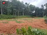 Plot 80 Cent
