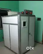 Egg Incubator