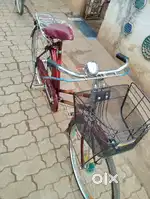 Hercules brand new cycle- unisex