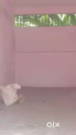 Godown on Rent