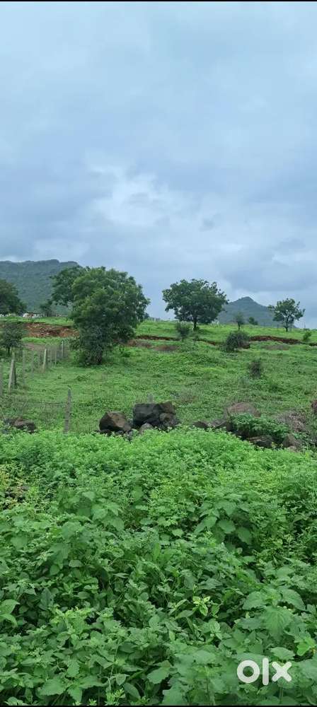 20×50 dhule jalna main highway touch