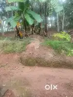 42 cent land for sale