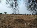 Farm avlaible on rent