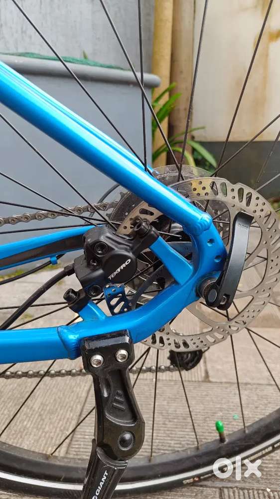 Giant Roam 2 (2021) – Medium Size