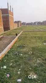 Awasiya plot