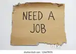 I need a job