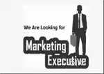 Marketing Executive