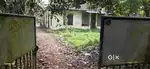 23 CENTS LAND WITH AN OLD HOUSE FOR SALE IN ALAPPUZHA TOWN