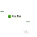 GEE ess technology solutions