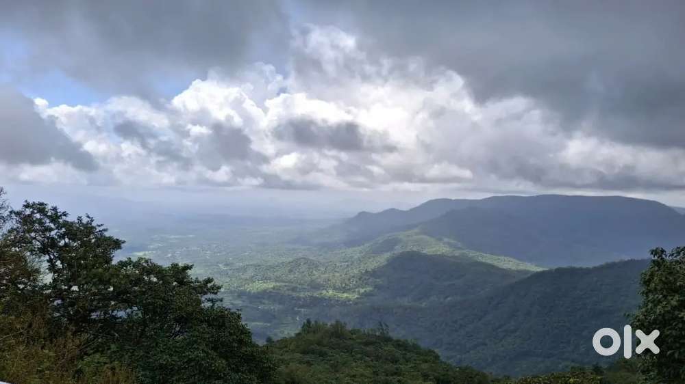 Need boys for odc and event work in baga morjim anjuna