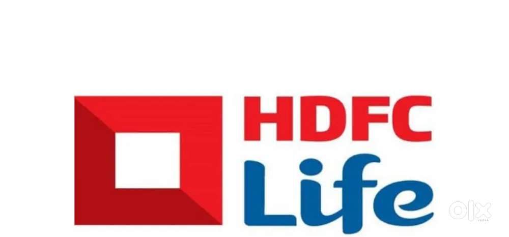 Financial consultant and manager