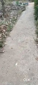East Othera..Pazhayakavu