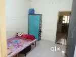 Female roommate required