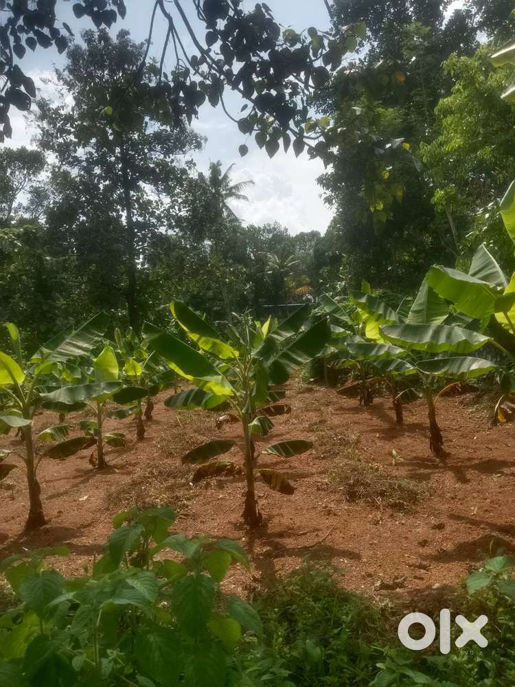 18cent plot for sale