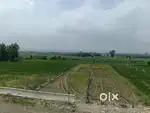 17000/gaj sabhawala