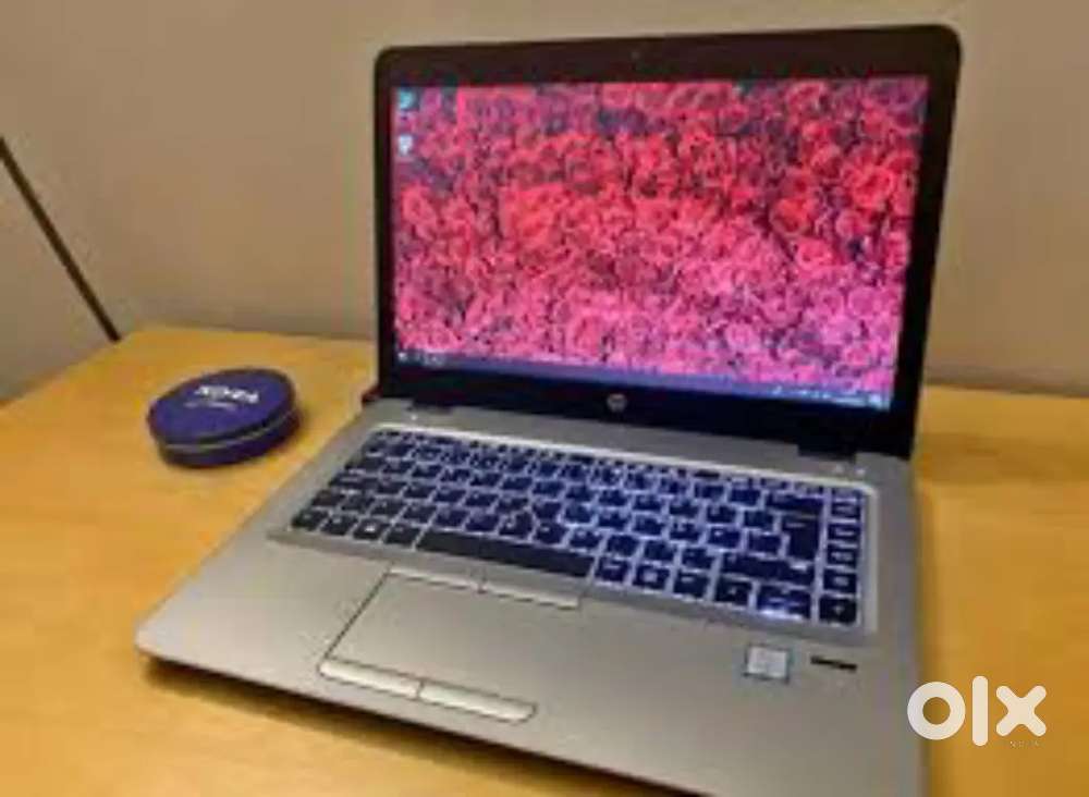 i3 i5 i7 ssd graphics hp laptop lenovo dell warranty