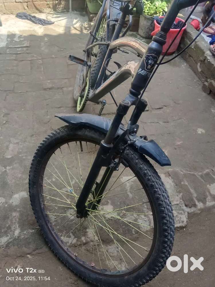 Cycle panther