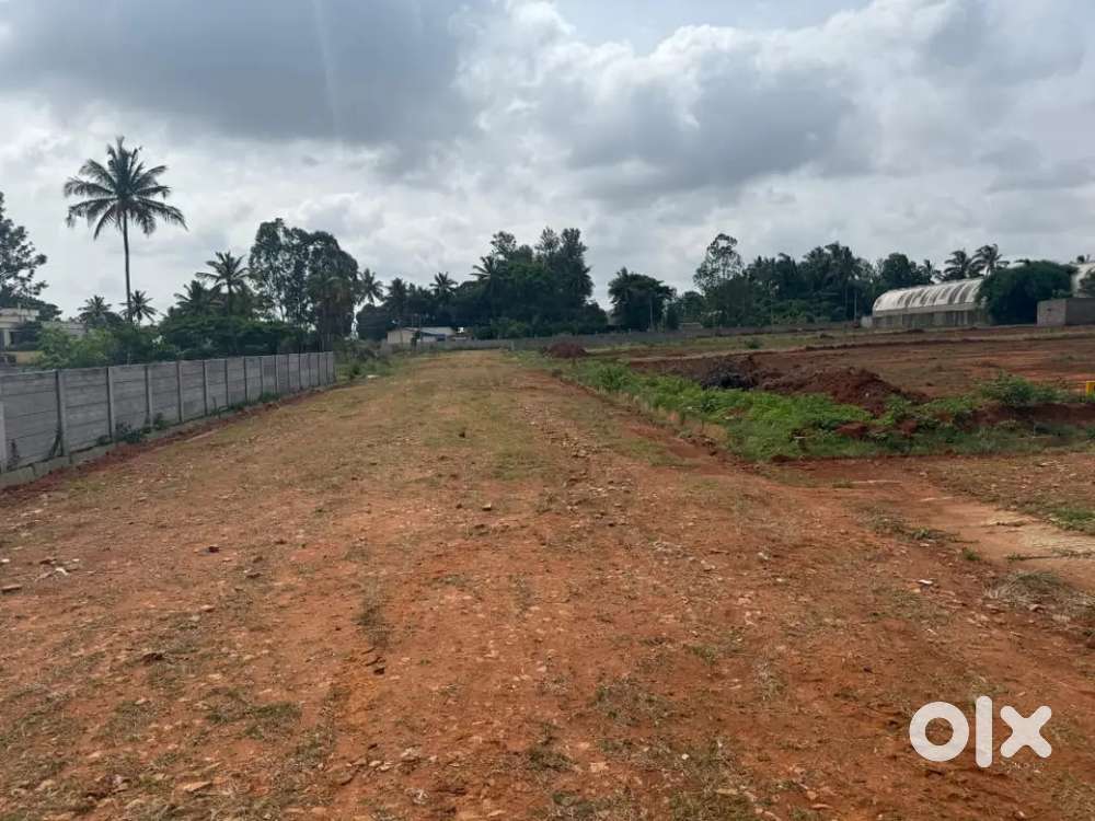 MOST DEMANDING PLOT OF AIRPORT ROAD BANGLORE