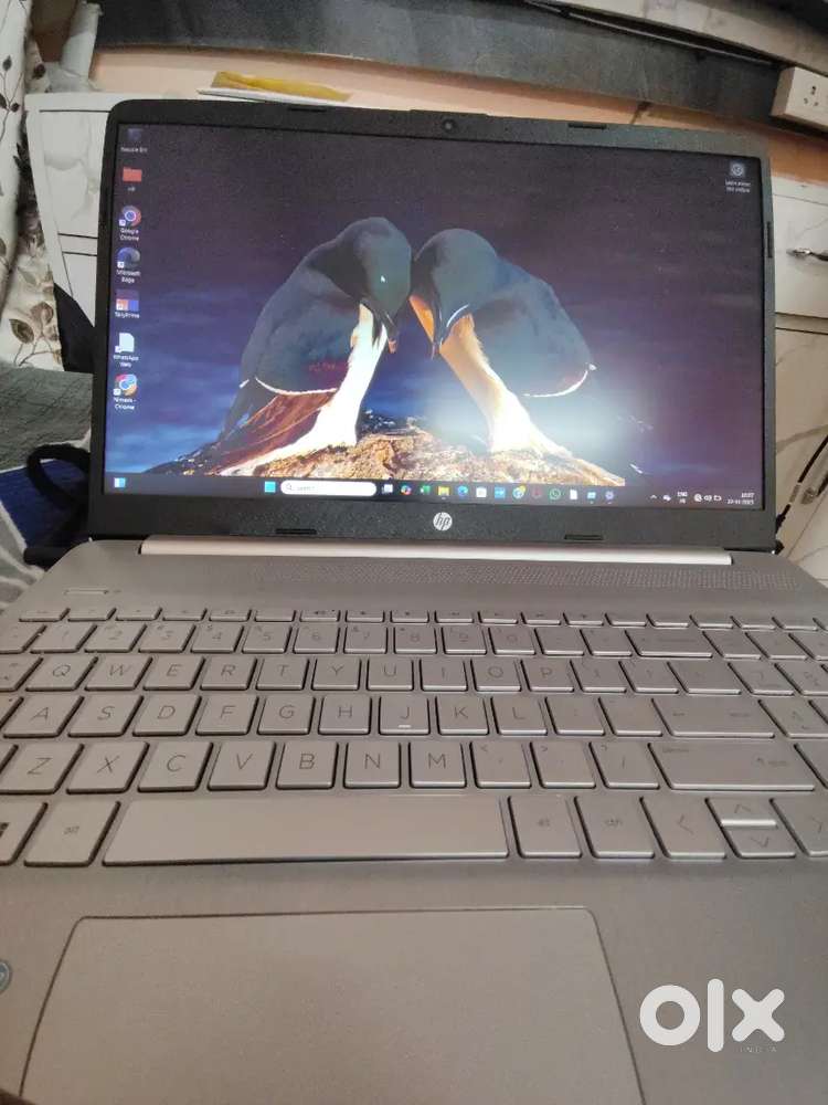 HP 15.6 INCH LAPTOP BRAND NEW CONDITION . Price negotiable