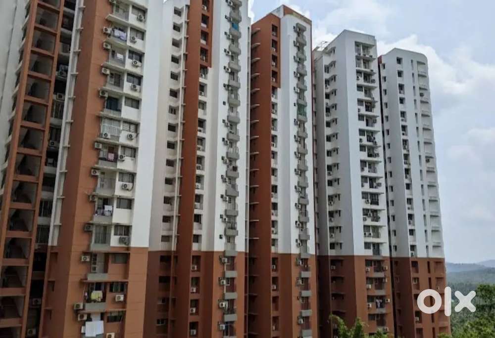 3bhk fully furnished luxury flat Hilite thondayad bypass