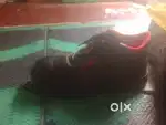 Hills son's safety shoes