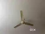 5 Ceiling Fans