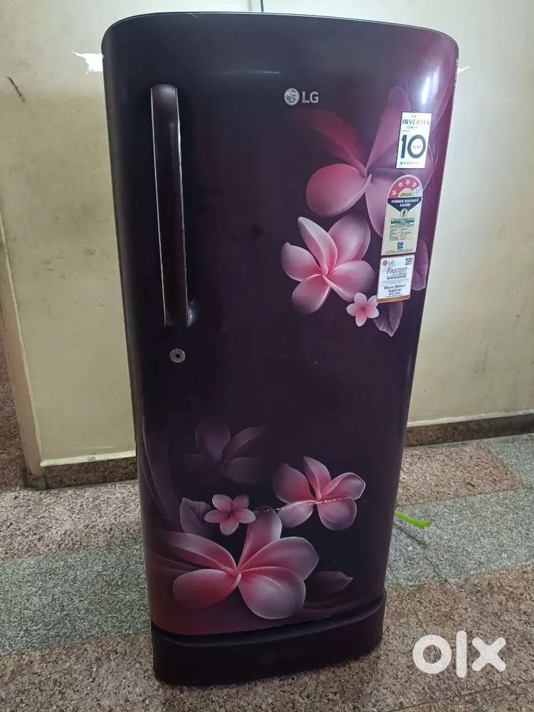 Lg refrigerator with single door