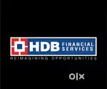 Personal Loan Collection Executive