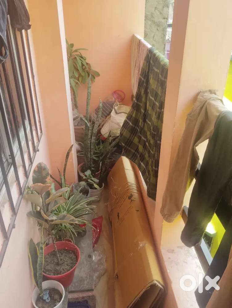 Address - tengra sealane BAMUNPARA