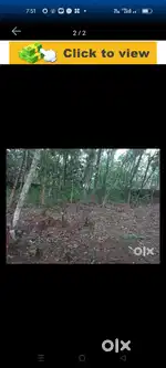 Plot for sale