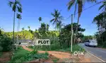Land for sale in Cherupuzha - 35 Cent - Available as house plots